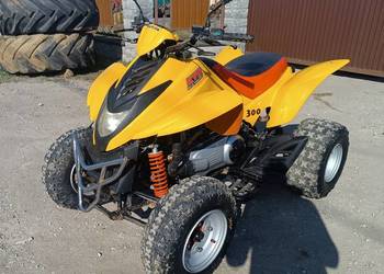 Quad Dinli 300 Masai