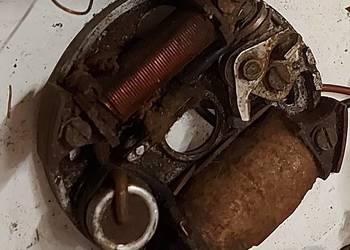 Zapłon komar ryś żak