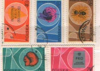 Zn. Fi 1117 - 21  kas 1961