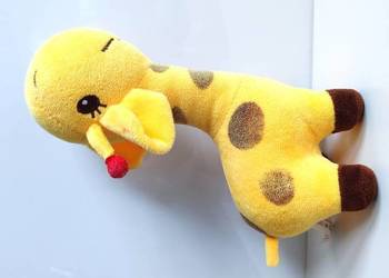 Żyrafa Antosia Axiom