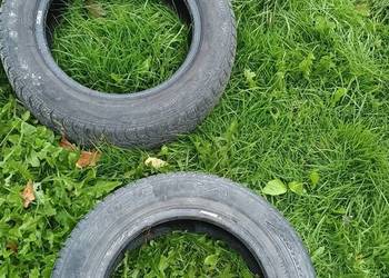 Opony zimowe debica 185 60 14