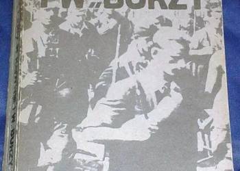 W Kedywie i w Burzy - Zygmunt Firley