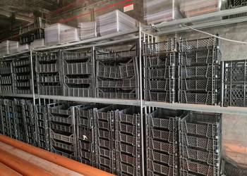 skrzynka skrzynki na owoce pieczarki ślimaki itp