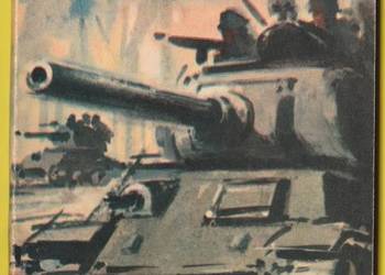 ŻÓŁTY TYGRYS - BRYGADA "WILKÓW" - 1974