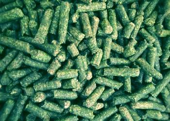 Lucerna granulowana dla królików koni idrobiu kóz alpak -25KG