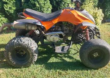 Quad bashan 110