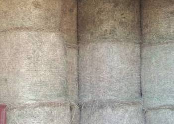 siano, sianokiszonka