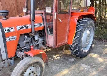 MF 255 1988 r stan bardzo dobry Pierwszy właściciel