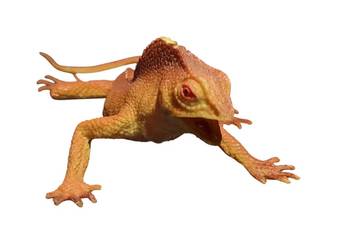 Stara figurka jaszczurkę gekona iguanę lata 80/90 PRL unikat kolekcjonerski