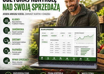 Sprzedaż bezpośrednia - system Excel