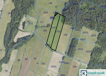 Grunt Brzezowa 9500m2