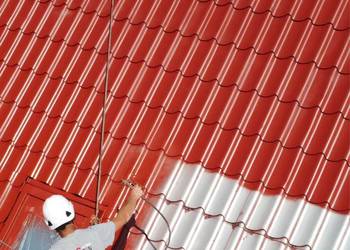 Malowanie Dachów Żywiec | Mycie Hot-Water 500 Bar | Alpin Szostek