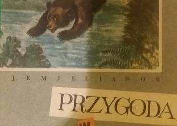 Przygoda w lesie piękne książki dziecięce Dzień Dziecka