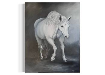 Obraz White horse
