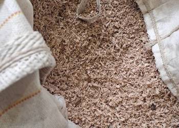 Trociny dębowe, czyste, bez dodatków