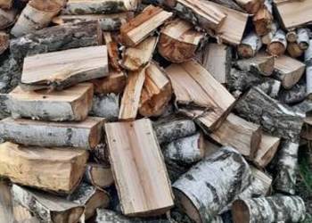 Drewno kominkowe brzoza