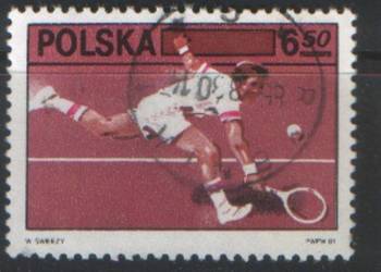 Zn. Fi 2613 kas  1981