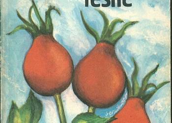 Jadalne owoce leśne / W.Grochowski/ las/owoce/witaminy Jadalne owoce leśne / W.Grochowski/ las/owoce/witaminy