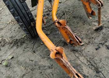 Redlice krzywe proste Amazone d7 d8 d4