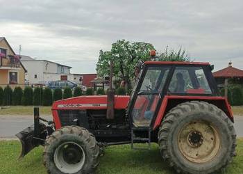 Ursus 1224