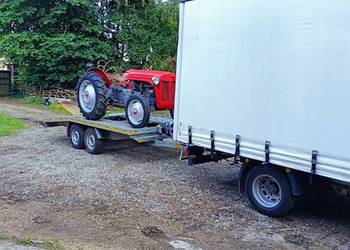 ferguson  ursus zetot tea20