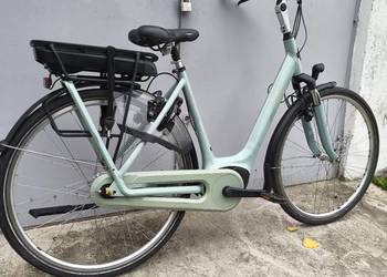Gazelle Orange C7+