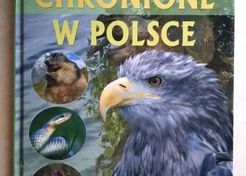 Zwierzęta Chronione W Polsce Zwierzęta Chronione W Polsce