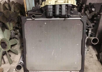 Chłodnica Man TGA TGX TGS 81061006657 81061016456