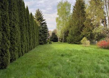 Działka 1900 metrów Prace Małe