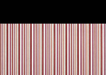Dekor Diantus burgundy Stripe 25 x 40, Cersanit, aktualne