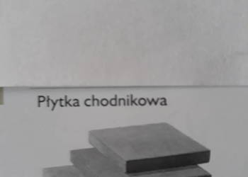 Płytka chodnikowa