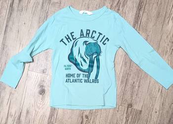 h&m 122 128 bluza Arctic