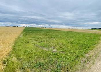Działka rolno-budowlana 3,12ha Zostań rolnikiem. Stwórz gospodarstwo i osie
