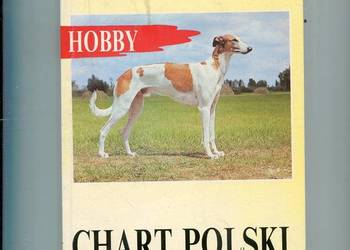 Chart Polski -