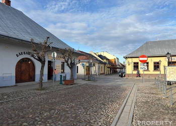 Lokal Stary Sącz 357m2