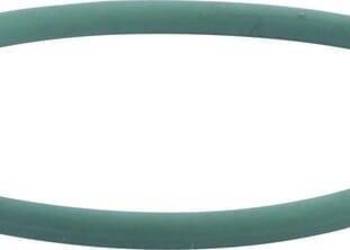Uszczelka o-ring Iveco 17290081
