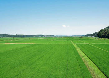 Działka Budowlana (2183 m2) Okolice Kątów Wrocławskich