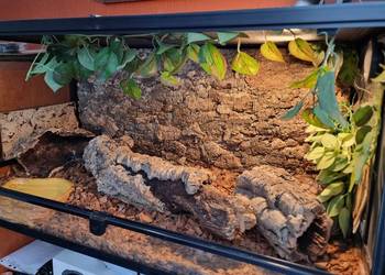 Terrarium Reptii Zoo (90×45) z wyposażeniem