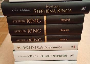 Stephen King x 10. Zestaw książek w bardzo dobrym stanie.