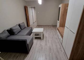 1pok, 37met, Okolice Daszyńskiego ROZKŁAD/PIWNICA (Wrocław)