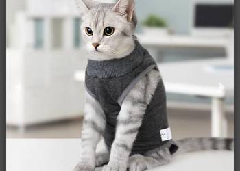 Polisept Vet - Care- Ubranko Pooperacyjne Dla Psa i Kota XS