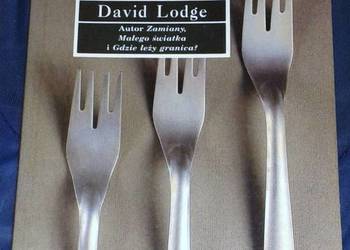 Rudy wariat - David Lodge