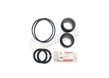 Komplet naprawczy koła napinającego rolki Komplet naprawczy koła napinającego rolki