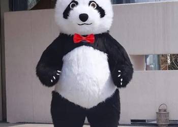 Panda miś kostium dmuchany 2.5m z BATERIĄ