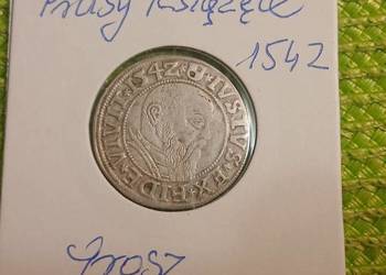 moneta srebrna Prusy Książęce grosz z 1542r