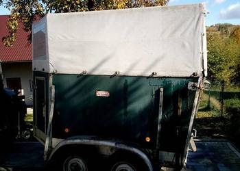 Przyczepka do przewozu koni, koniarka