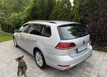Volkswagen Golf Bardzo zadbana - oryginalny przebieg - VII (2012-)