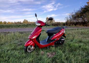 Skuter zipp basic 50 - bardzo dobry stan!