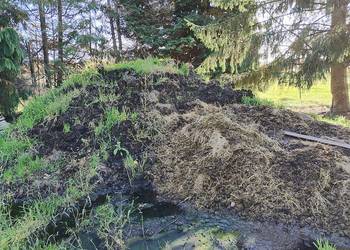 Obornik koński ok 100 ton