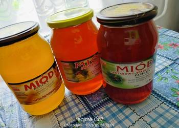 Sprzedam miód z własnej pasieki